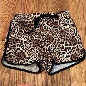 Kittenish leopard shorts